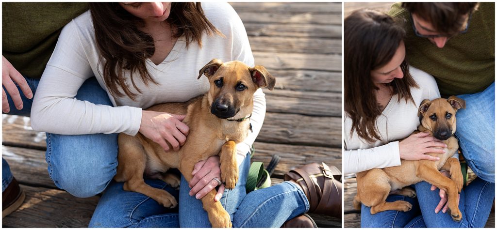 Puppy snuggles during a Stone Arch Bridge Family Photography
