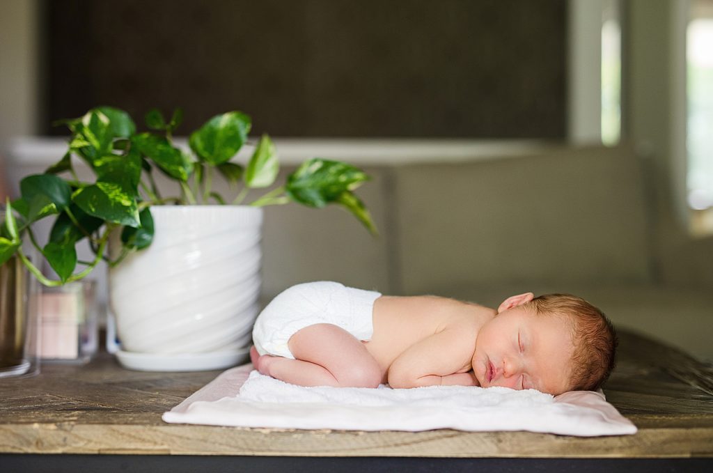 Newborn baby sleeping by plant