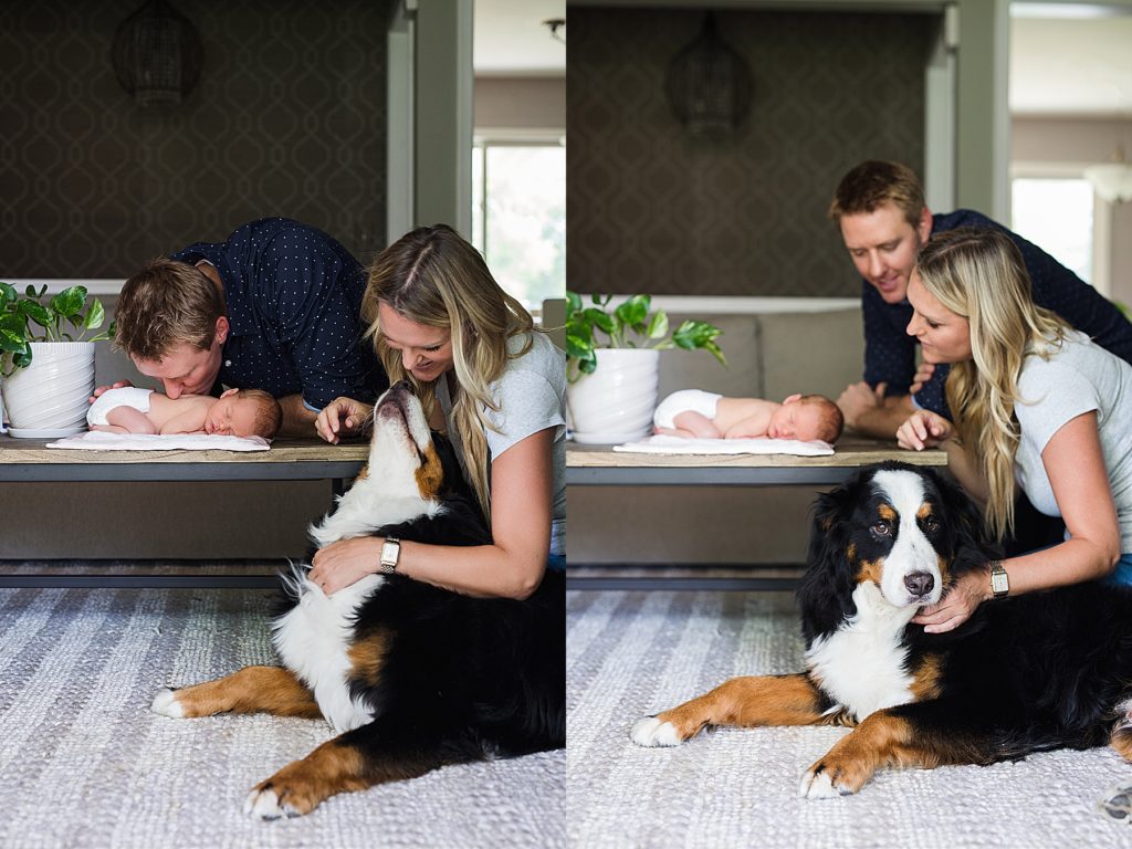 Parents looking at newborn baby with dog