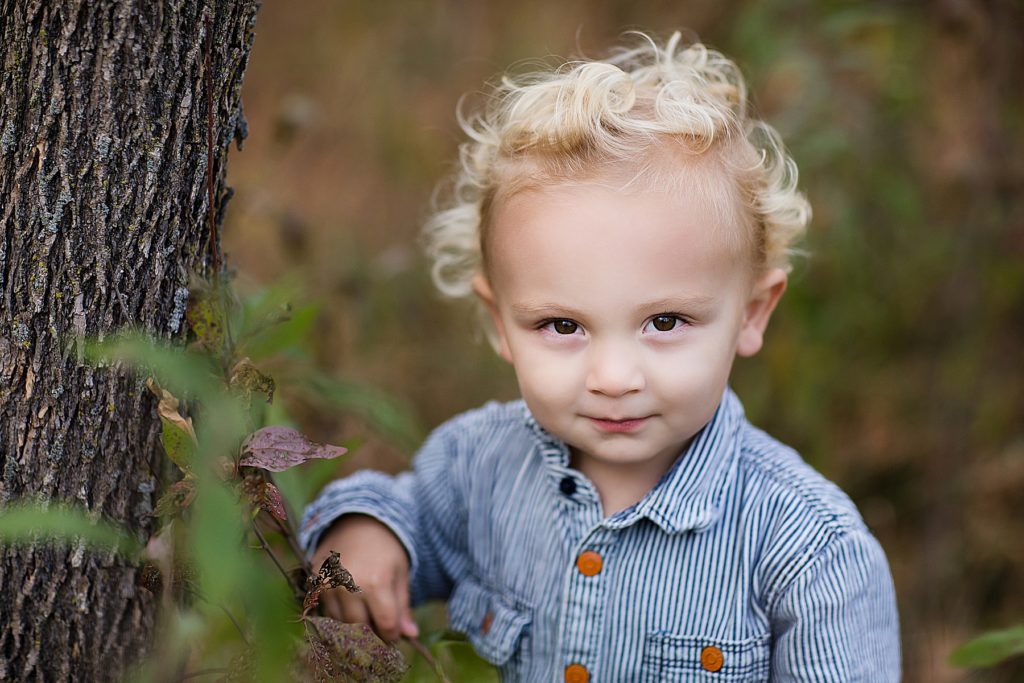 st. louis park family photography - little toddler