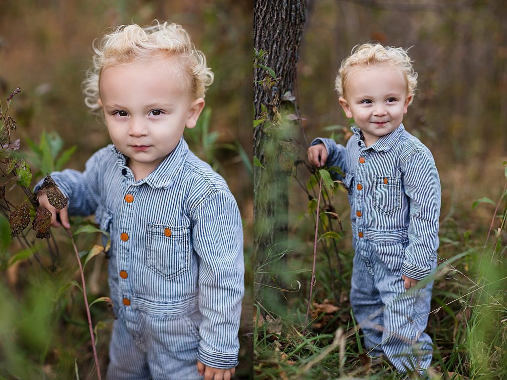 st. louis park family photography - toddler with curls