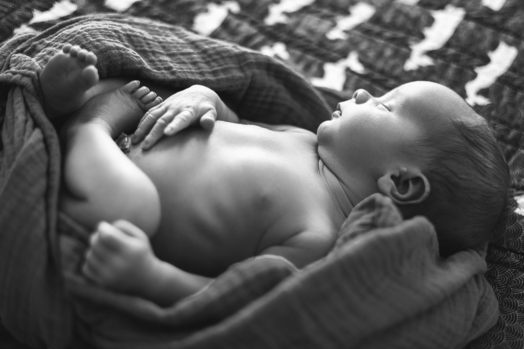 St. Paul Newborn Photo