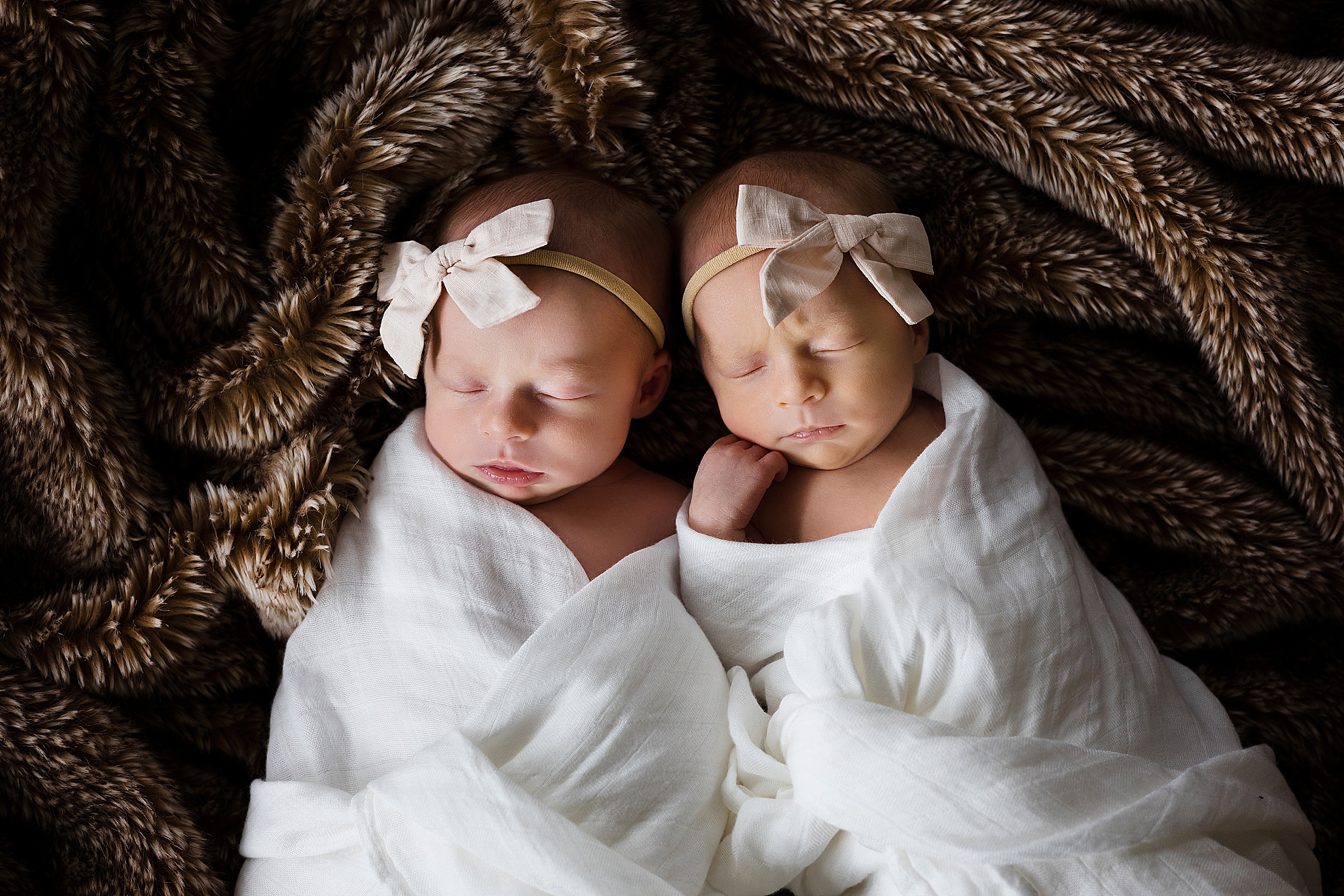 Eden Prairie Newborn Photos Twins
