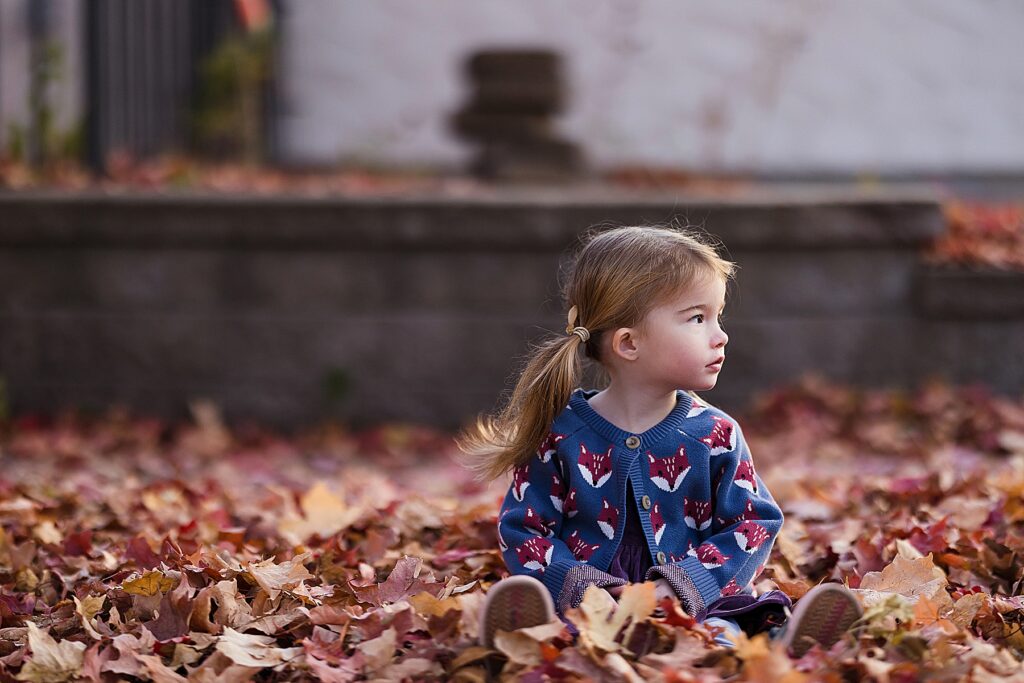 Little girl sitting in the red and orange leaves in the fall. St. Paul, MN