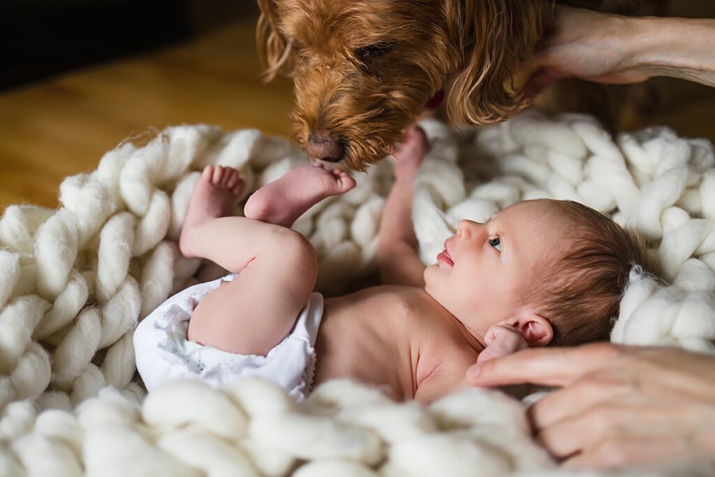 Tips for Including Your Pet in Family Photos